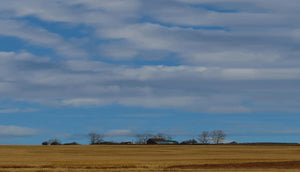 RBC-107 Prairie Vista FOUR
