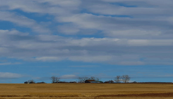 RBC-107 Prairie Vista FOUR
