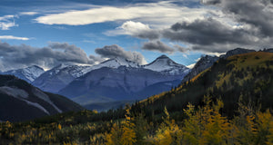 RBC-123  Fall Colours Mountain Vista 121