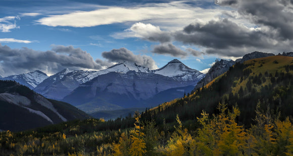 RBC-123  Fall Colours Mountain Vista 121
