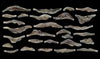 785-1245  -  Rock Mold Creek Bank