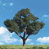 785-3547  -  Cool Shade .75-1.25" 8/