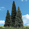 785-3565  -  Forever Grn 2.25-4" 5/