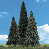 785-3573  -  Forever Grn 7-8" 3/