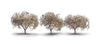 785-3594  -  Cherry Blossom Trees 3/