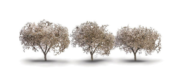 785-3594  -  Cherry Blossom Trees 3/