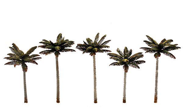785-3597  -  Palm Trees Small 5/