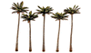 785-3598  -  Palm Trees Large 5/