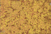 785-1354  -  Turf Shkr 32oz Fll Orn Cr