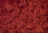 785-1355  -  Turf Shkr 32oz Fll Red Cr