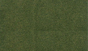 785-5173  -  Grass Roll 25x33" Forest