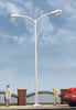 949-4313  -  Tear Drop Street Light DA
