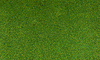 785-49  -  Blended turf green