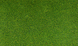 785-49  -  Blended turf green