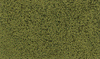 785-51  -  Foliage light green