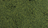 785-52  -  Foliage medium green
