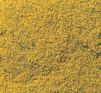 785-176  -  Flowering Foliage Yellow
