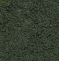 785-138  -  Undrbrsh Foliage Frst Grn