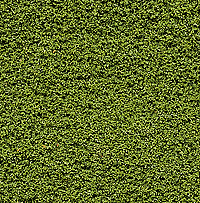 785-145  -  Bshs Clmp Foliage Lt Grn