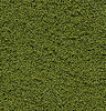 785-146  -  Bshs Clmp Foliage Med Grn