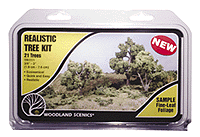 785-1111  -  Tree Decid Med .75-3" 21/