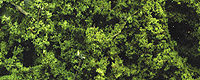 785-1131  -  Fine-Leaf Foliage Med Grn