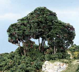 785-1662  -  Forest Canopy Dark Grn