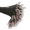 206-10101822  -  Bulb GOR w/8" blk    100/