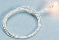 206-10106  -  Bulb GOR 12V Clr/Blk Wire