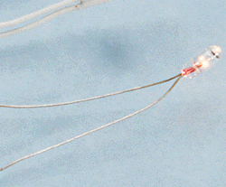 206-101015  -  Micro bulb 1.5v w/term
