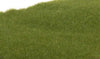 785-613  -  Static Grass Drk Grn 2mm