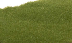 785-613  -  Static Grass Drk Grn 2mm