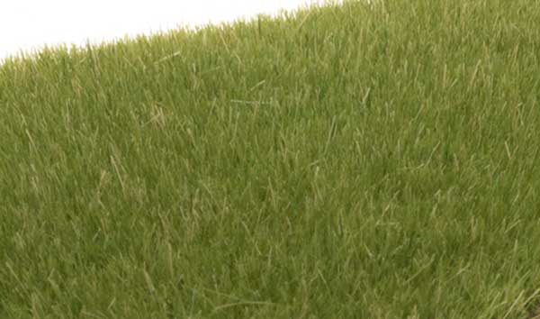 785-618  -  Static Grass Md Grn 4mm
