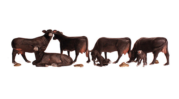 785-1955  -  Black Angus Cows 5/ - HO Scale