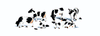 785-2724  -  Holstein Cows 7/ - O Scale
