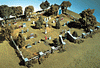 785-131  -  Maple Leaf Cemetery - HO Scale
