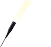 785-5957  -  Spotlight Large 2/