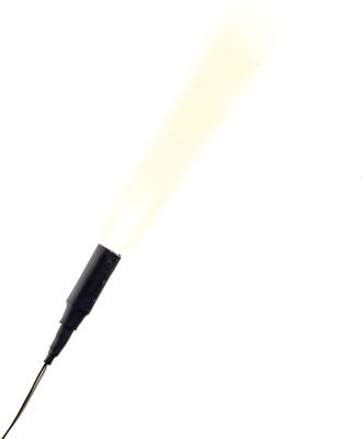 785-5956  -  Spotlight Small 2/