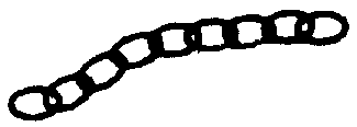200-256  -  Chain Black 36 LPI 12"L