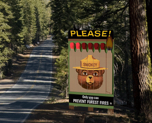 502-442852  -  Billboard Sm Smokey Bear
