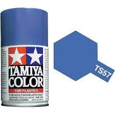 865-TS57 BLUE VIOLET