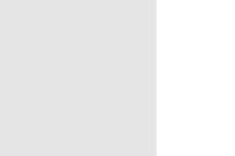 570-91369  -  Mirror Sht 4x12" Vlt   2/
