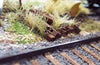 OMK-3044  -  Scenic Ties 50pk - N Scale